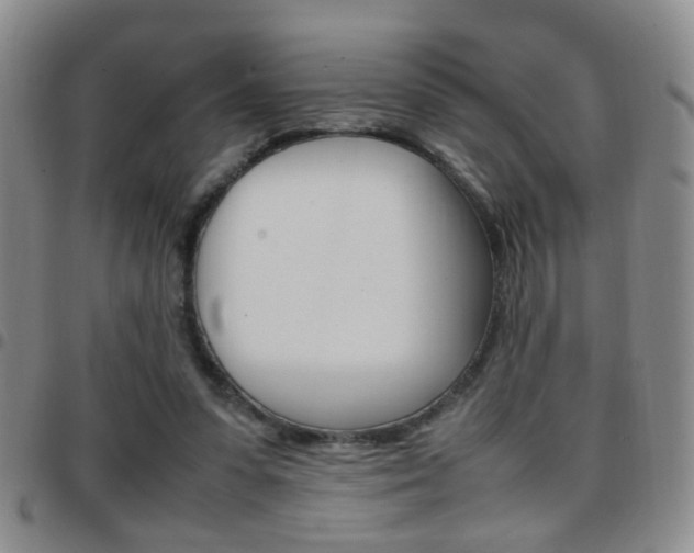 X0000097920303200803141036