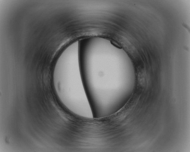 X0000097920304200803141036