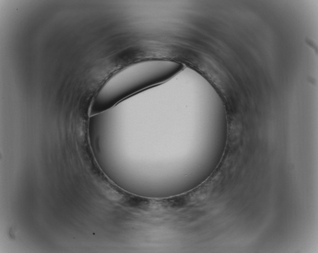 X0000097920305200803141036
