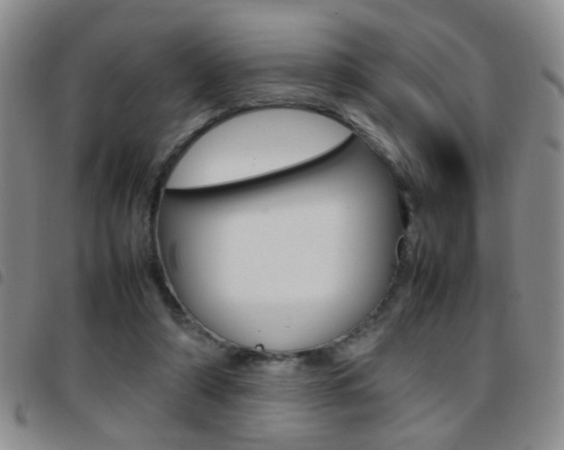 X0000097920306200803141036
