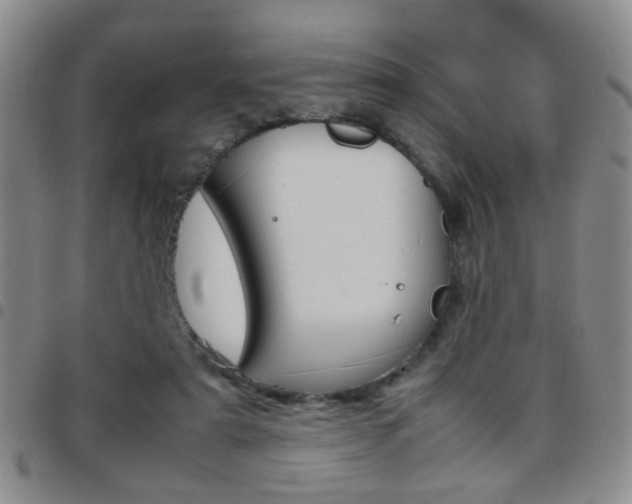 X0000097920307200803141036