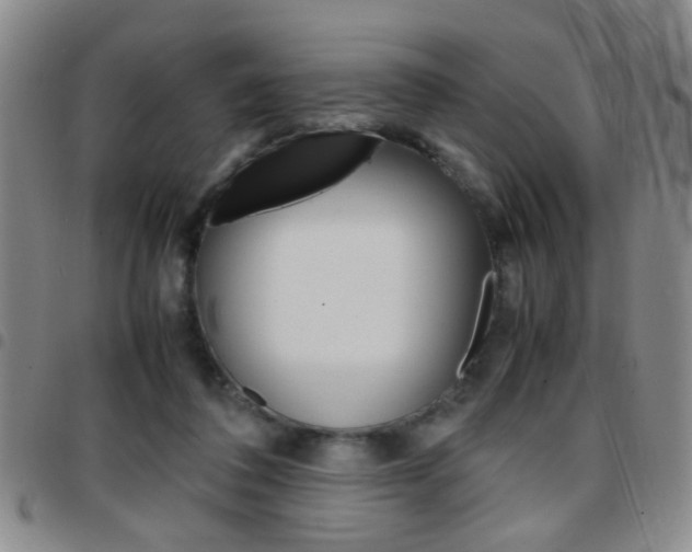 X0000097920308200803141036