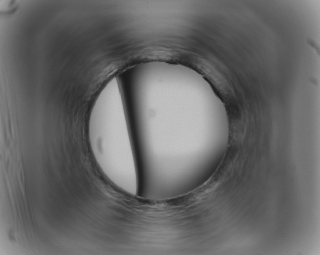 X0000097920309200803141036