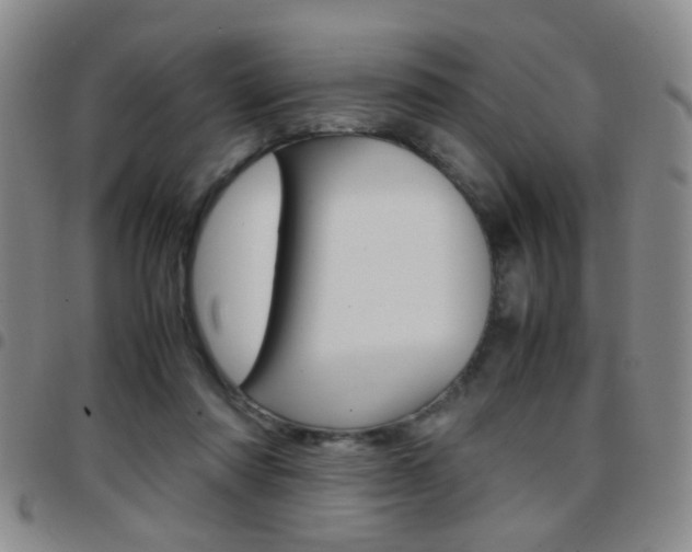 X0000097920310200803141036