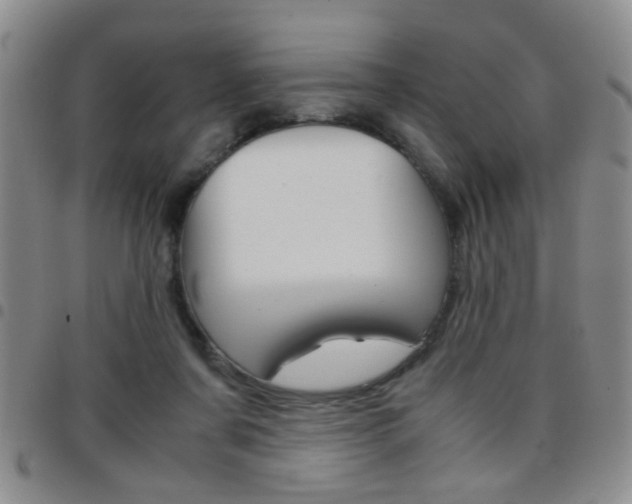 X0000097920311200803141036
