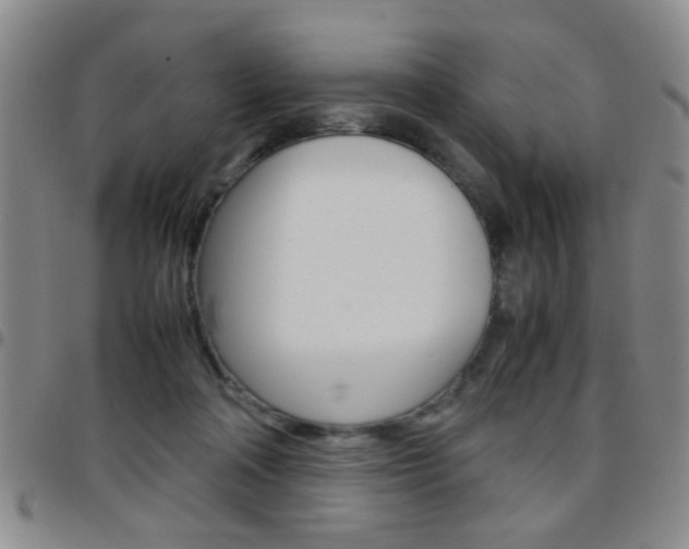 X0000097920314200803141036
