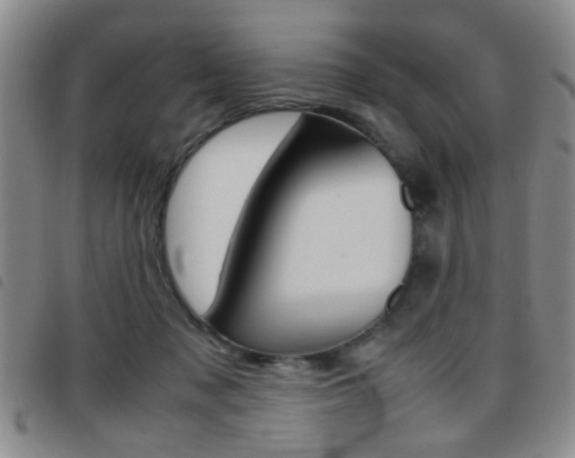 X0000097920317200803141036