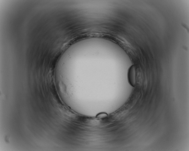 X0000097920318200803141036