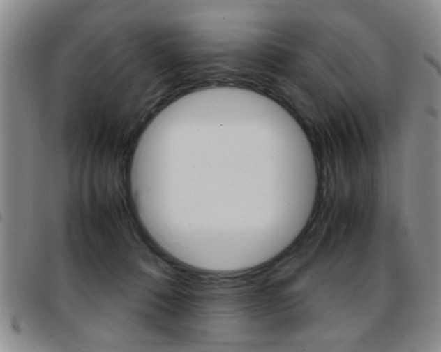 X0000097920320200803141036