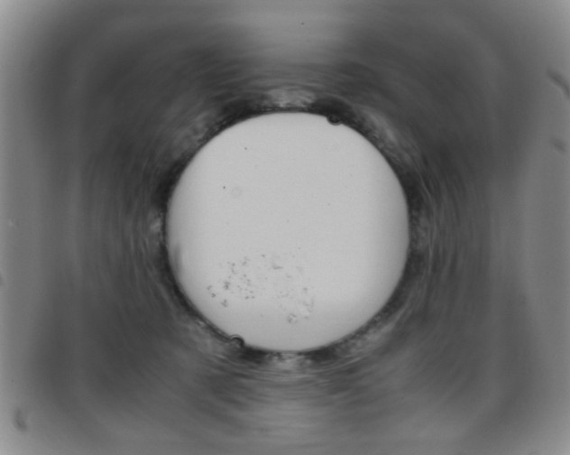 X0000097920321200803141036