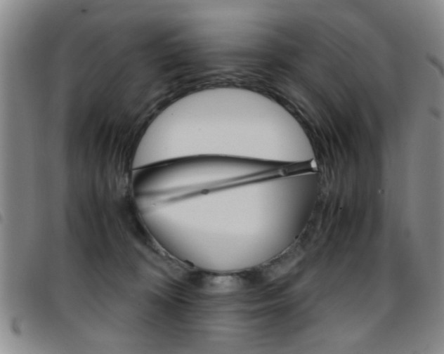 X0000097920324200803141036