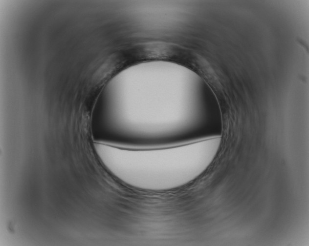 X0000097920325200803141036