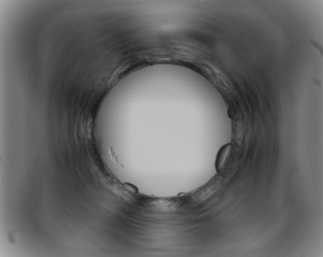 X0000097920326200803141036