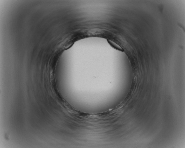 X0000097920327200803141036