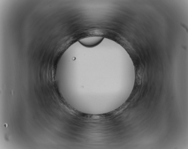 X0000097920330200803141036