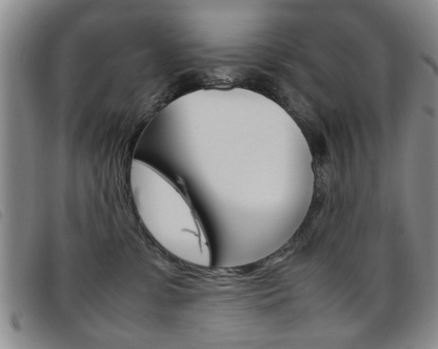 X0000097920331200803141036