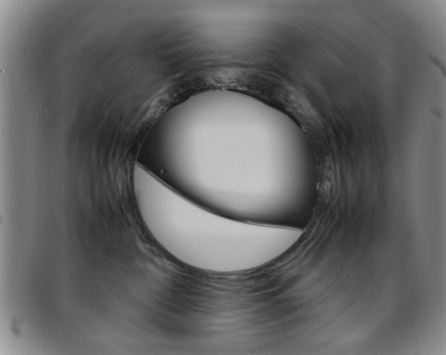 X0000097920332200803141036