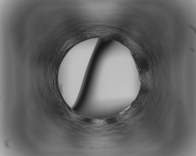 X0000097920333200803141036