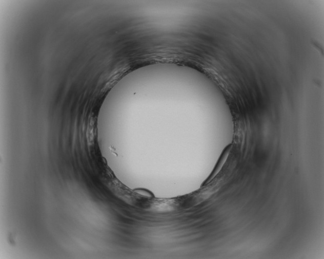 X0000097920334200803141036