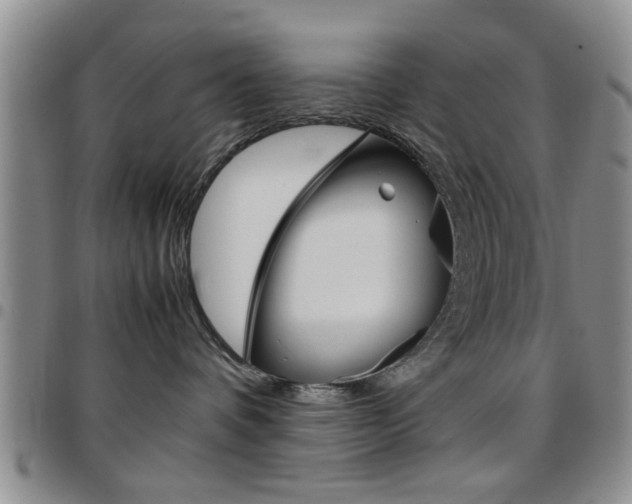 X0000097920336200803141036