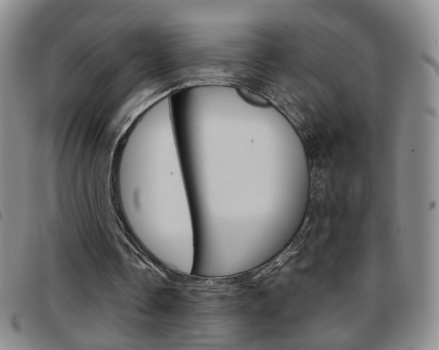 X0000097920338200803141035