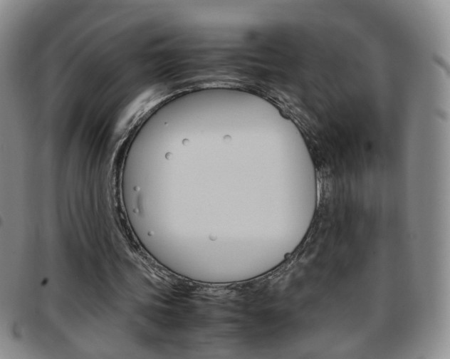 X0000097920339200803141035