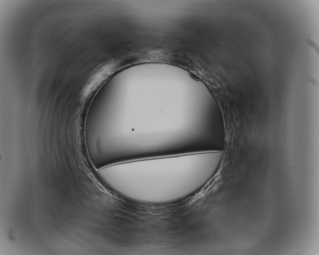 X0000097920341200803141035
