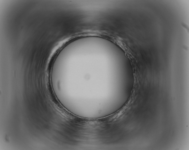 X0000097920342200803141035