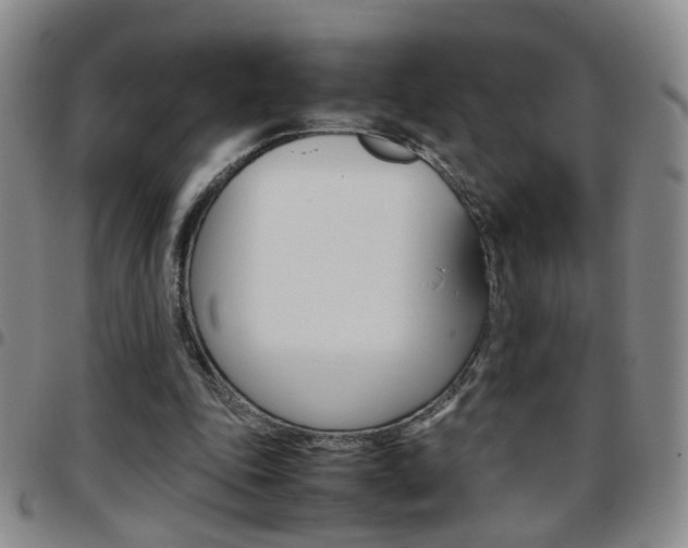 X0000097920343200803141035