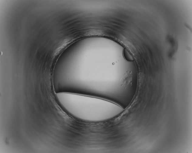 X0000097920345200803141035