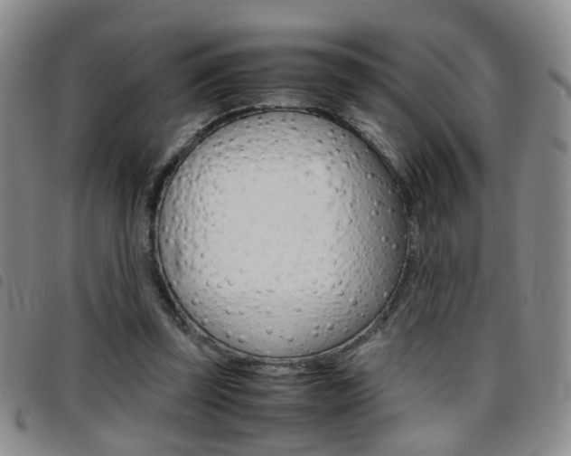 X0000097920347200803141035