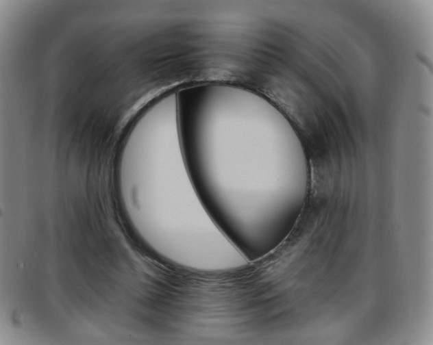 X0000097920348200803141035