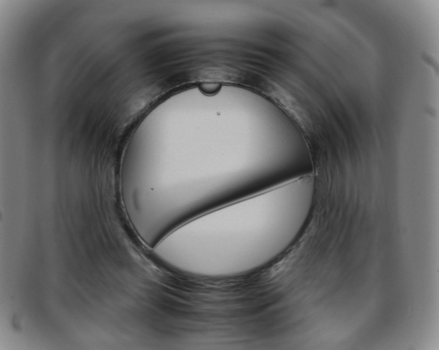 X0000097920349200803141035