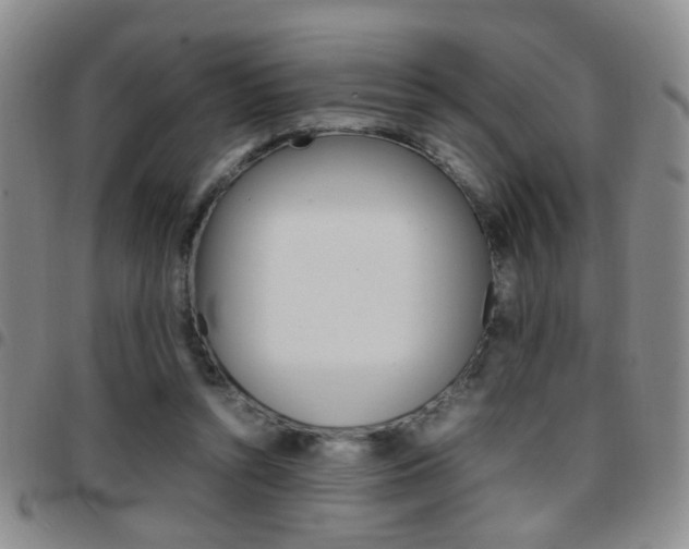 X0000097920352200803141036