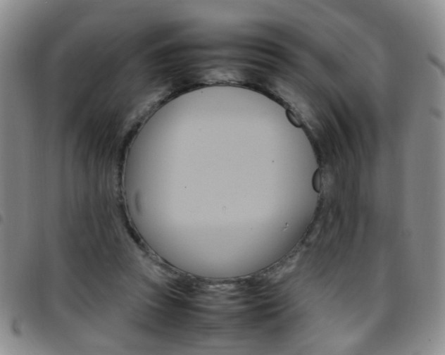 X0000097920353200803141036