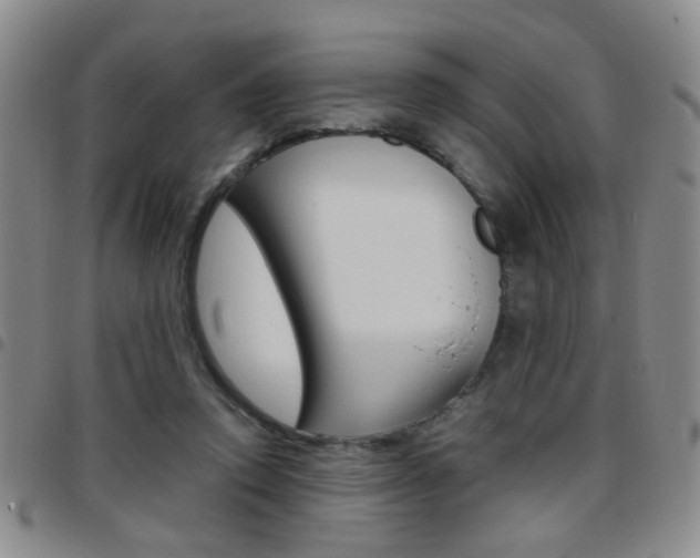 X0000097920354200803141036