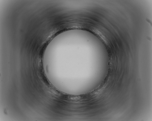 X0000097920355200803141036