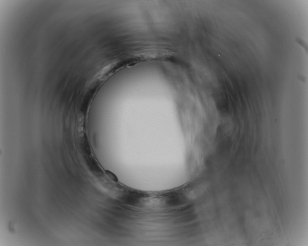 X0000097920356200803141036