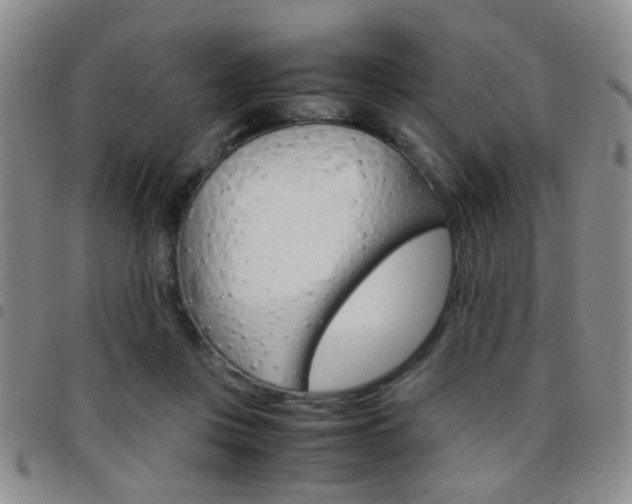 X0000097920359200803141036