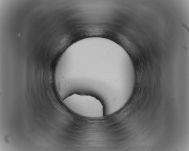 X0000097920362200803141036