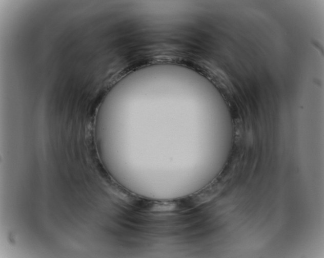 X0000097920369200803141036