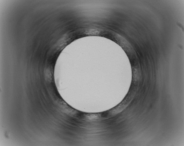 X0000097920370200803141036
