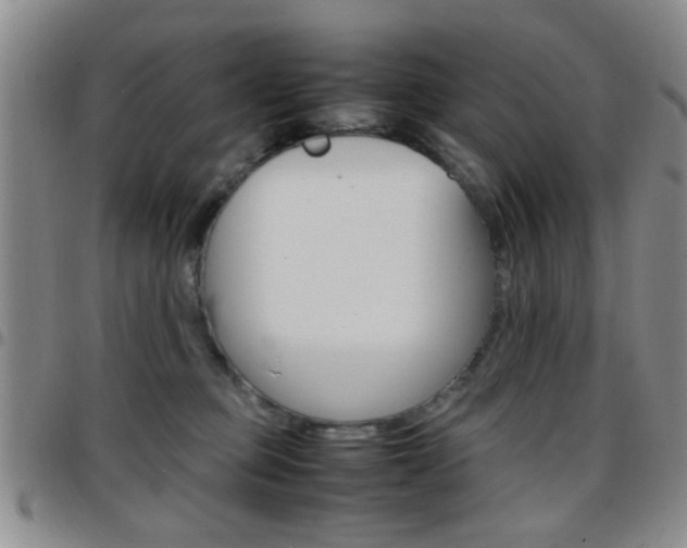 X0000097920373200803141036