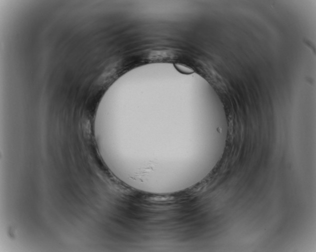 X0000097920375200803141036