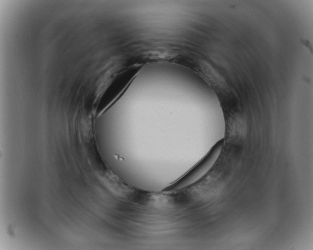 X0000097920376200803141036