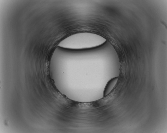X0000097920378200803141036