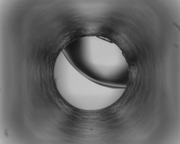 X0000097920380200803141036