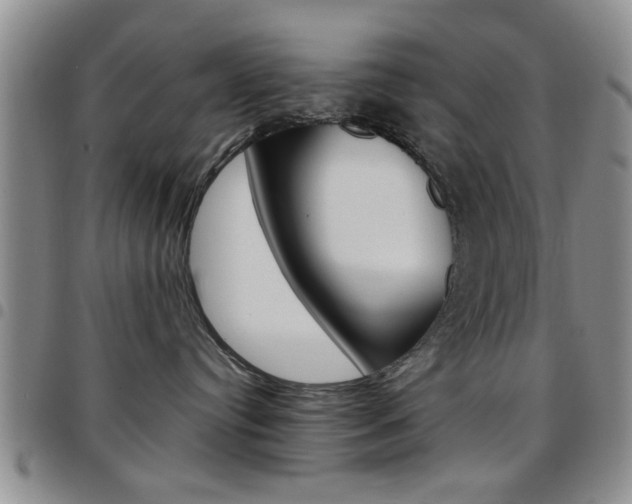 X0000097920384200803141036