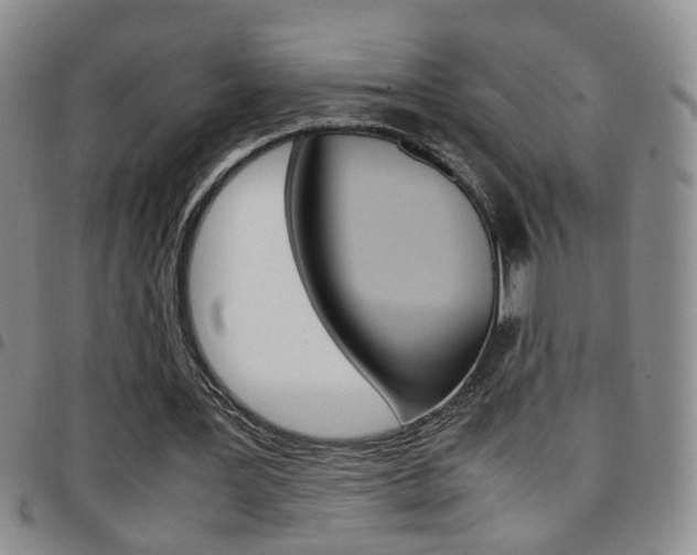 X0000097920387200803141035