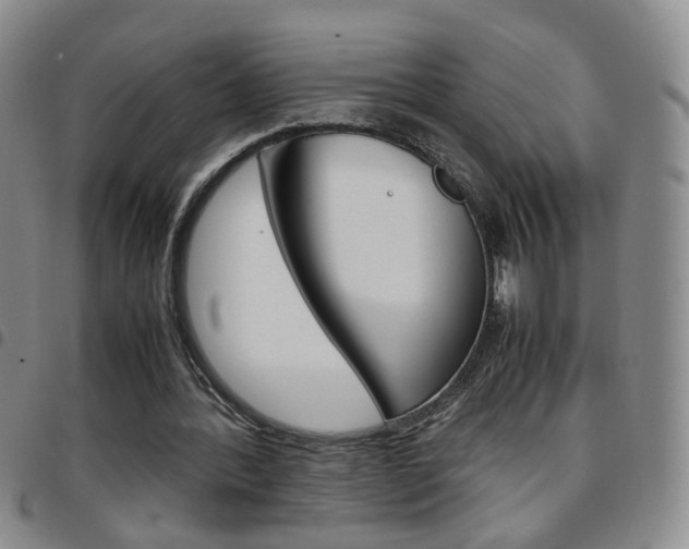X0000097920388200803141035
